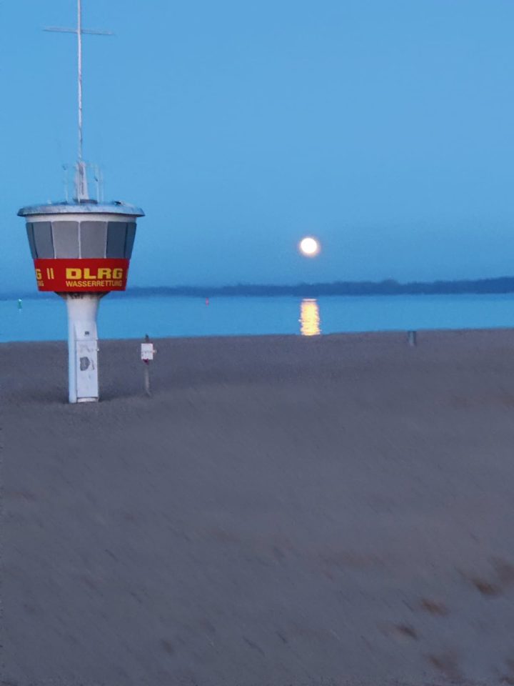 WhatsApp Image 2022 03 19 At 10.33.47