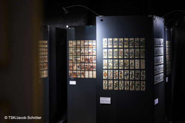 IKE TOUR SKATSPIEL IN ALTENBURG