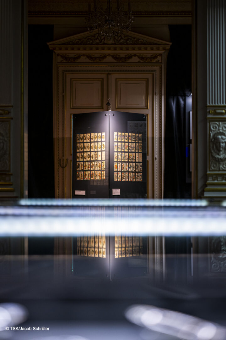 IKE TOUR SKATSPIEL IN ALTENBURG