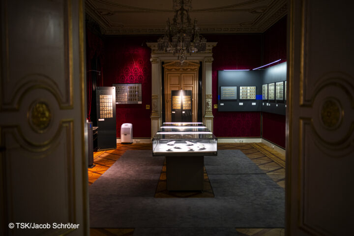 IKE TOUR SKATSPIEL IN ALTENBURG